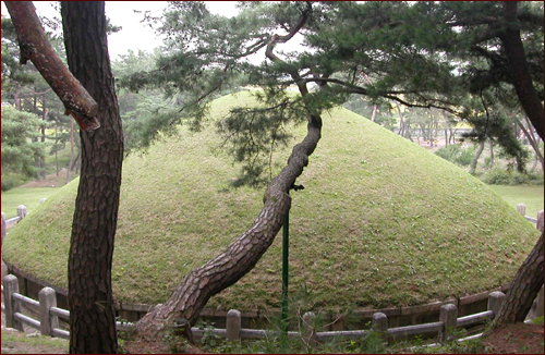 괘릉 뒷쪽에서 울산 방향을 보며 